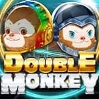 Double Monkey screenshot